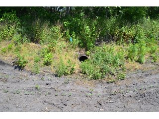 <b>PRICE REDUCED: $5,900 per acre</b><br>
This property offers productive tillable land along with two wooded areas.  Much of the larger woods near the road is on a ridge.  Investigate this area for a potential beautiful homesite as well as for hunting and recreational opportunities. <br>
<b>156.9+/- </b>Total Acres | <b>145.83+/-</b> Tillable Cropland Acres per FSA | <b>10+/-</b> Wooded Acres - 156.9+/- Acres For Sale - Cropland, Woods for Hunting/Recreational & Potential Building Sites
